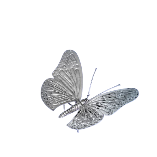 Mariposa.